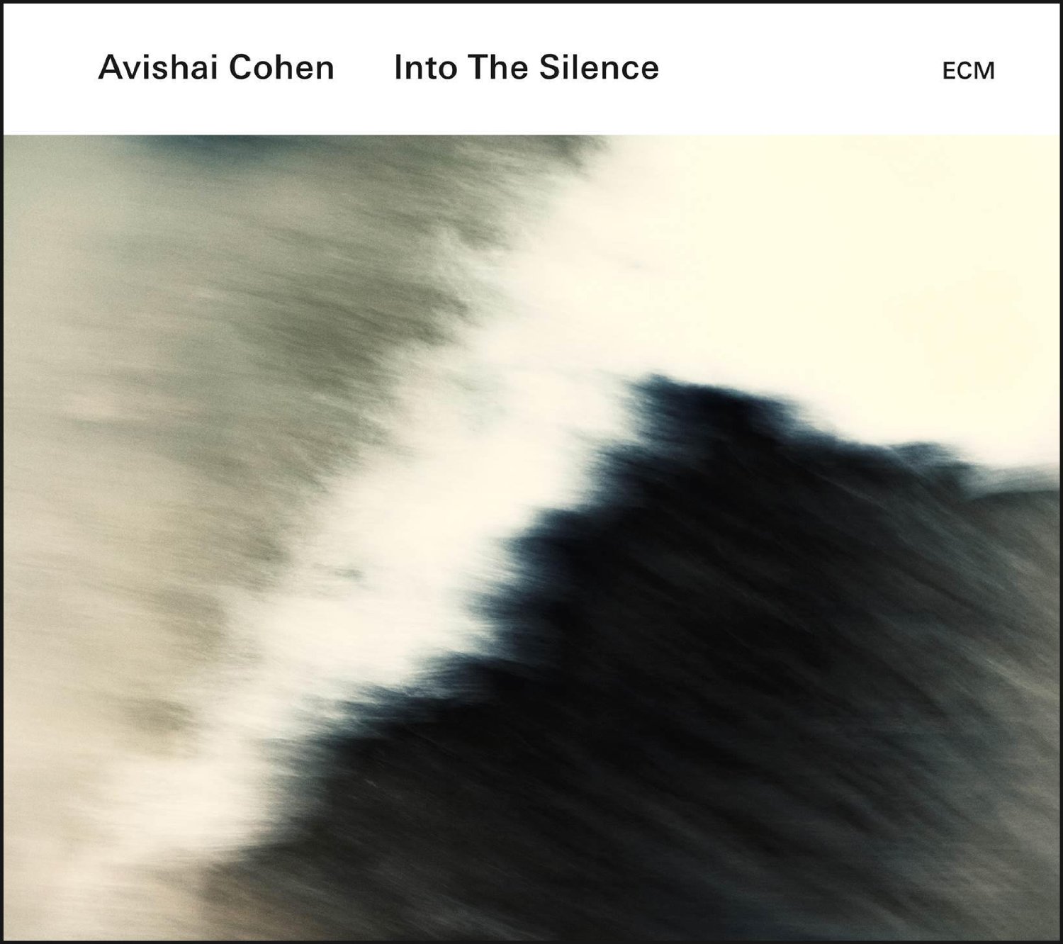 Avishai Cohen «Into the Silence»