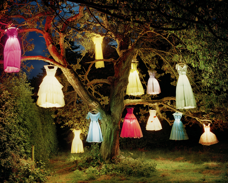 Тим Уокер, “Дерево платяных ламп, Англия”, 2002